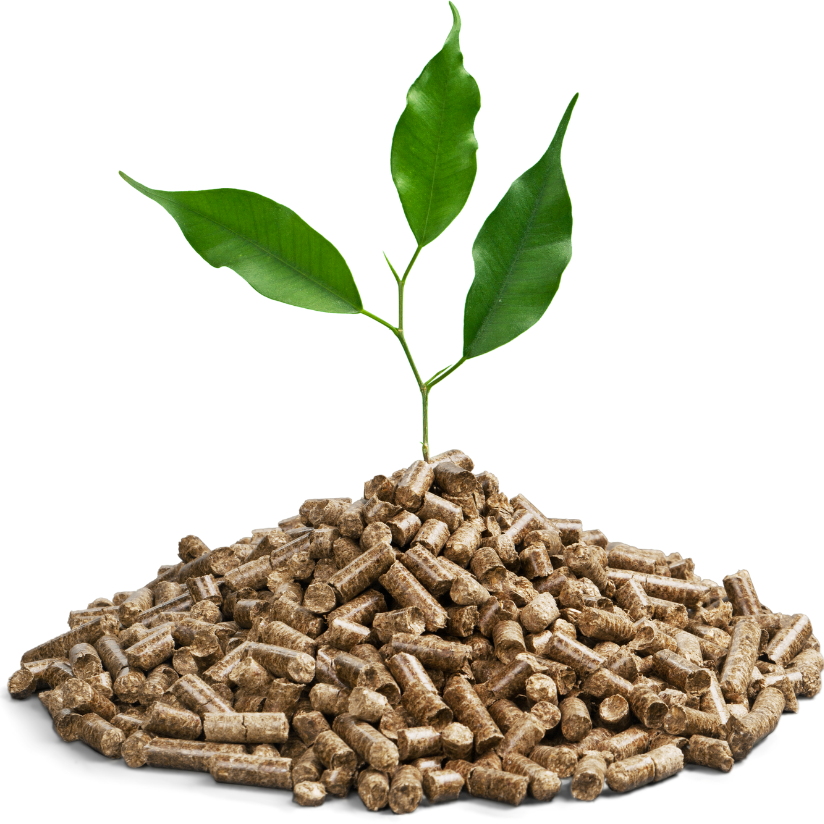 Orijinal Yüzde Yüz Doğal Çam Pelet Yakıtı
